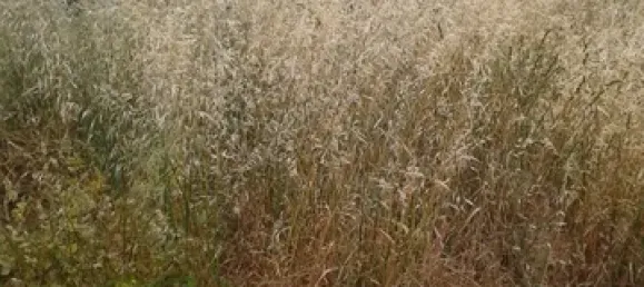 Terreno em São João da Madeira, Portugal 600 m² N.º 92791 2