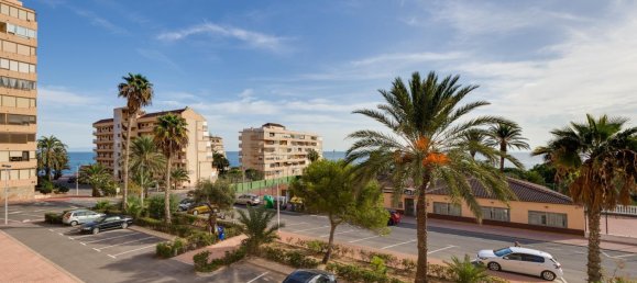 1 chambre appartement à vendre à Torrevieja, Alicante, Valencian Community, Spain № 369997 3