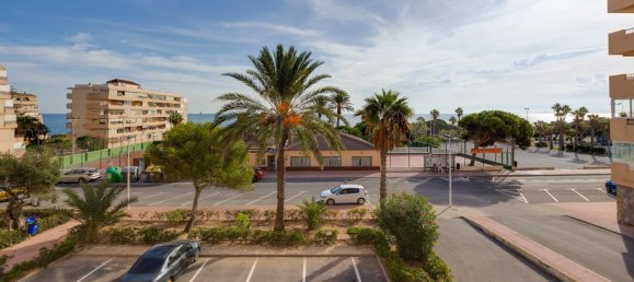 1 chambre appartement à vendre à Torrevieja, Alicante, Valencian Community, Spain № 369997 2