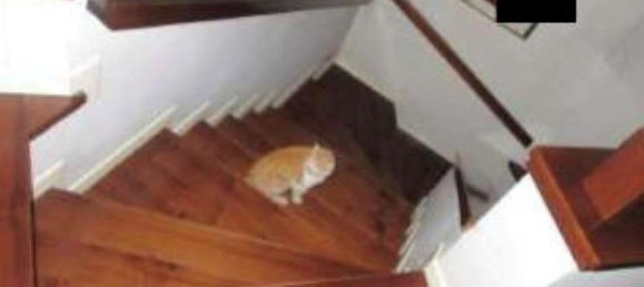 Villa T18 em Cogollo del Cengio, Italy N.º 344105 40