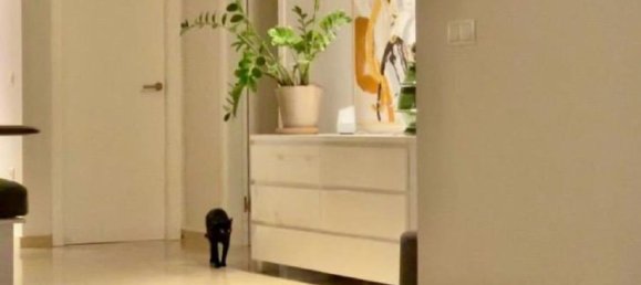 2 bedrooms Apartment in Malaga, Spain No. 178357 11