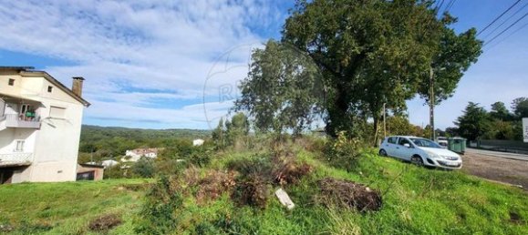  مستودع في Mundao, Portugal 880متر مربع رقم 76845 5