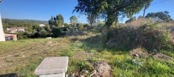  مستودع في Mundao, Portugal 880متر مربع رقم 76845 4