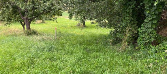 Hotel de 7 divisões em Grossmurbisch, Austria N.º 75615 23