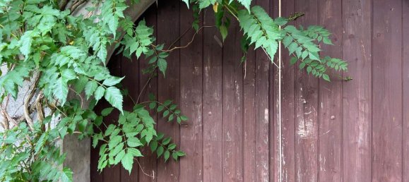 Hotel de 7 divisões em Grossmurbisch, Austria N.º 75615 6