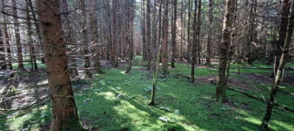 Terreno em Bad Tolz-Wolfratshausen, Germany N.º 149603 2