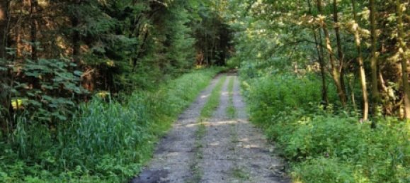 Terreno em Bad Tolz-Wolfratshausen, Germany N.º 149603 3