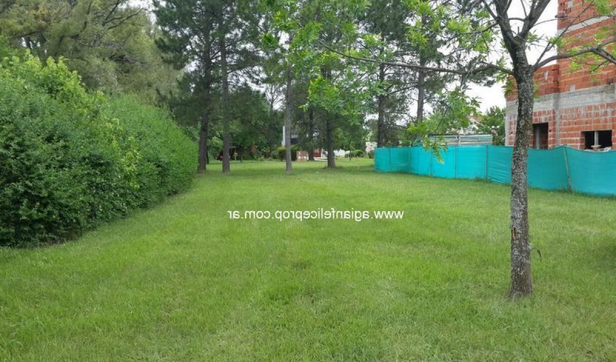  Land in Buenos Aires, Argentina No. 115839