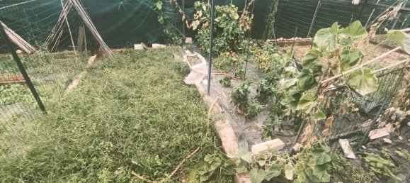 4غرفة شقة في Castiglione delle Stiviere, Italy رقم 187879 29