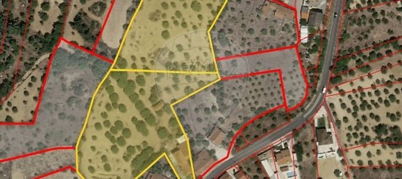 Casa T3 em Torres Novas, Portugal N.º 187010 20