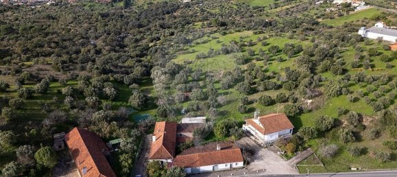 Casa T3 em Torres Novas, Portugal N.º 187010 31