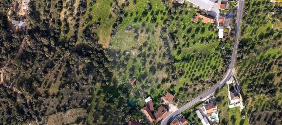 Casa T3 em Torres Novas, Portugal N.º 187010 27