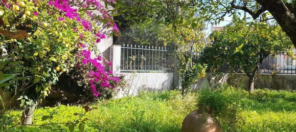 Casa T3 em Torres Novas, Portugal N.º 187010 22