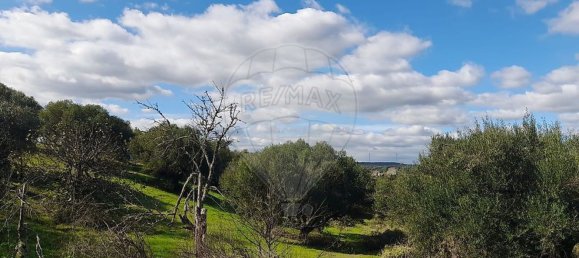 Casa T3 em Torres Novas, Portugal N.º 187010 24