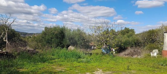 Casa T3 em Torres Novas, Portugal N.º 187010 21