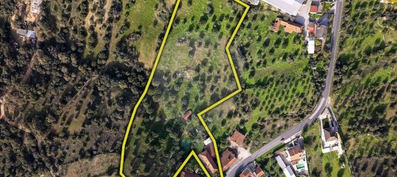 Casa T3 em Torres Novas, Portugal N.º 187010 29