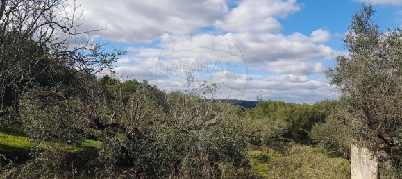 Casa T3 em Torres Novas, Portugal N.º 187010 25