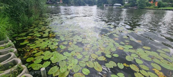 Земельный участок в Даме-Шпревальд, Германия № 227473 3
