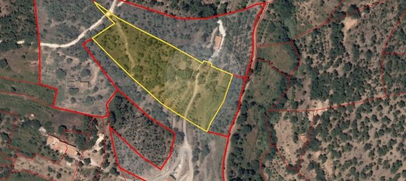 Terreno em Monchique, Portugal 10400 m² N.º 320463 11