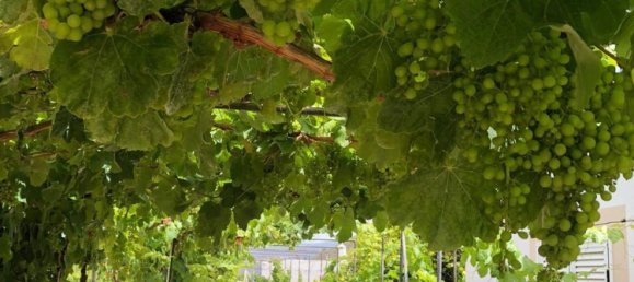 Дом с 6 спальнями в Гия-де-Исора, Испания № 130573 2