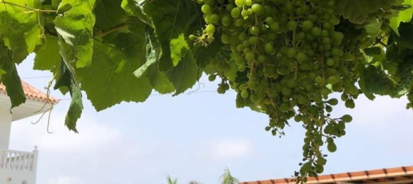 Дом с 6 спальнями в Гия-де-Исора, Испания № 130573 8