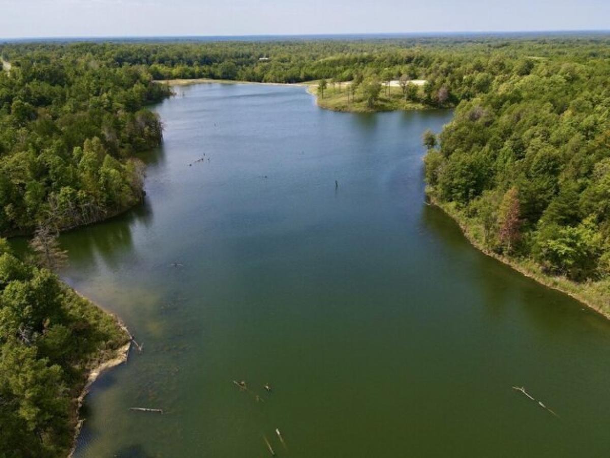  Land in Livingston, USA No. 474394