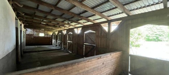 9غرفة مزرعة في Diepholz, Germany رقم 366068 30