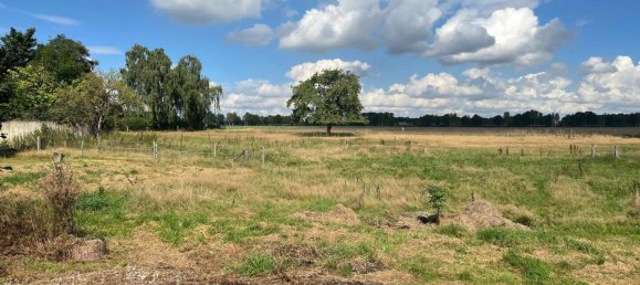 9غرفة مزرعة في Diepholz, Germany رقم 366068 16