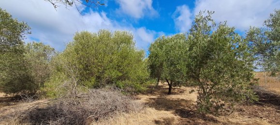 Grundstück in Alghero, Italy 12248m², Nr. 259118 4