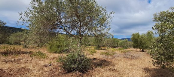 Grundstück in Alghero, Italy 12248m², Nr. 259118 7