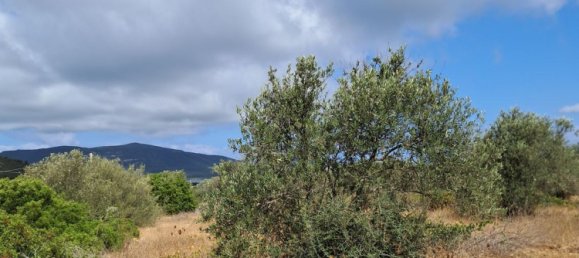 Grundstück in Alghero, Italy 12248m², Nr. 259118 12