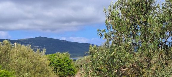 Grundstück in Alghero, Italy 12248m², Nr. 259118 13