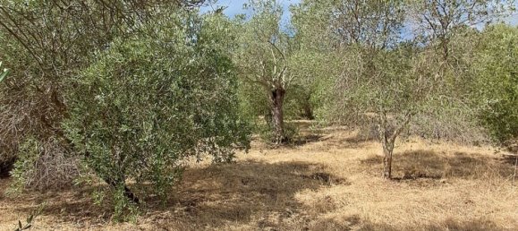 Grundstück in Alghero, Italy 12248m², Nr. 259118 2