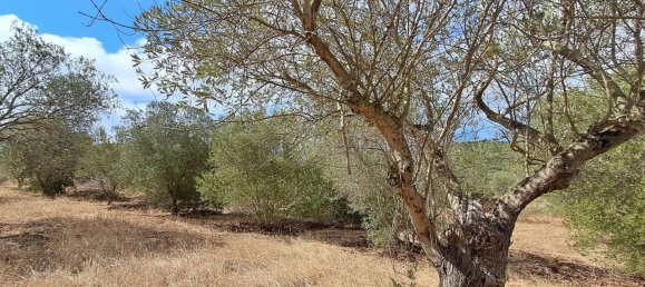 Grundstück in Alghero, Italy 12248m², Nr. 259118 6