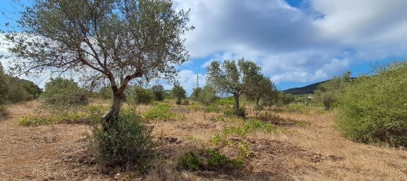 Grundstück in Alghero, Italy 12248m², Nr. 259118 10