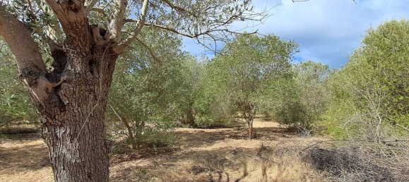 Grundstück in Alghero, Italy 12248m², Nr. 259118 3