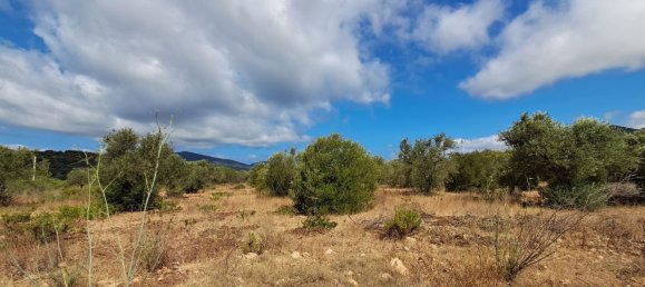 Grundstück in Alghero, Italy 12248m², Nr. 259118 11