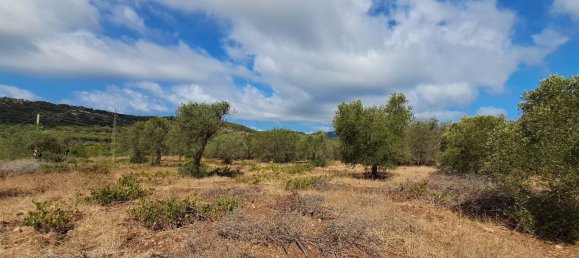 Grundstück in Alghero, Italy 12248m², Nr. 259118 8