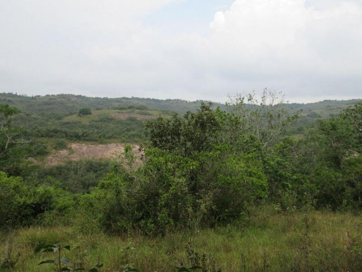 Grundstück in Veracruz, Mexico, Nr. 205212