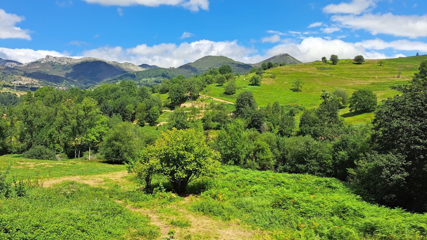  Land in Cangas de Onis, Spain No. 159417