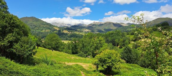  Land in Cangas de Onis, Spain No. 159417 7