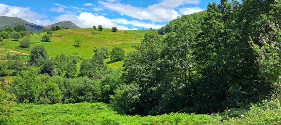  Land in Cangas de Onis, Spain No. 159417 6