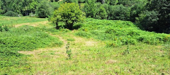  Land in Cangas de Onis, Spain No. 159417 5