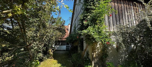 3 bedrooms House in Haut-Rhin, France No. 247778 10