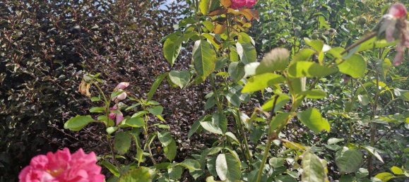 6غرفة تاون هاوس في Klagenfurt am Worthersee, Austria رقم 230109 9