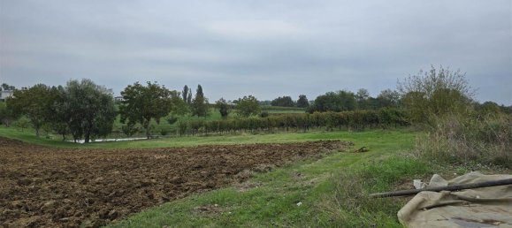 10-Zimmer Haus in Castelvetro di Modena, Italy, Nr. 133623 2