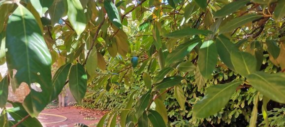 4غرفة فيلا في Poggibonsi, Italy رقم 226350 11