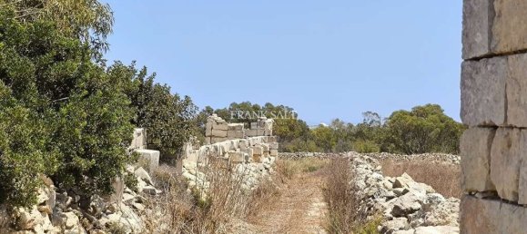 قطعة أرض في Siggiewi, Malta 1668متر مربع رقم 13482 4