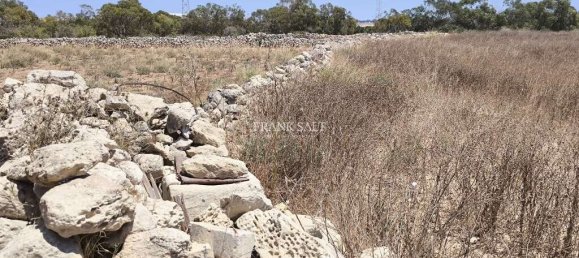 قطعة أرض في Siggiewi, Malta 1668متر مربع رقم 13482 5