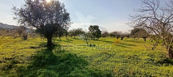 Terreno em Palmela, Portugal 7320 m² N.º 74579 2